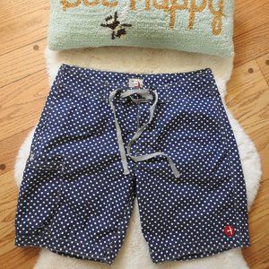 Reiwen Mens Blue Polka Dot Shorts Small